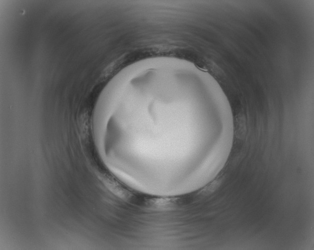 X0000080750184200701122013