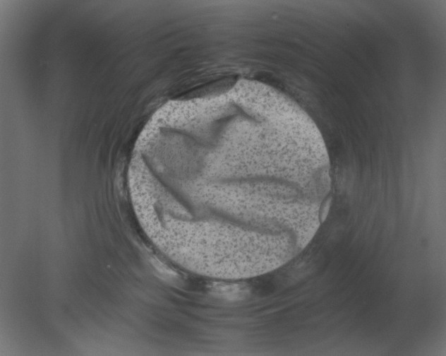 X0000080750185200701122013