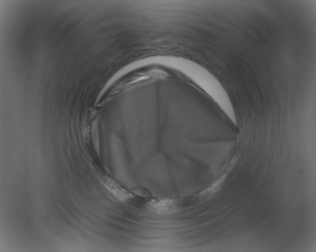 X0000080750186200701122013