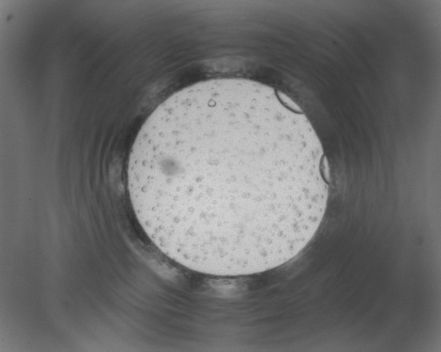 X0000080750187200701122013