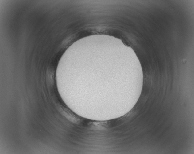 X0000080750188200701122013