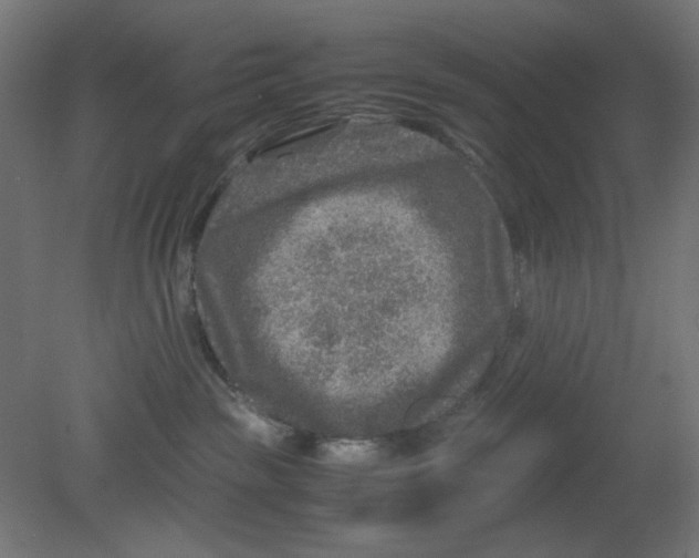 X0000080750189200701122013