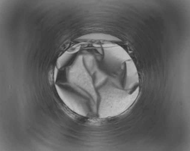 X0000080750190200701122013