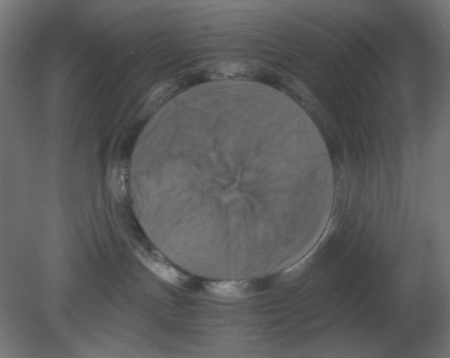 X0000080750191200701122013