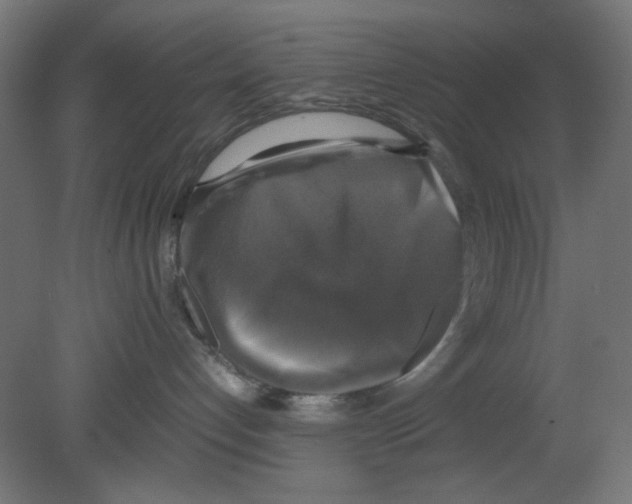 X0000080750192200701122013