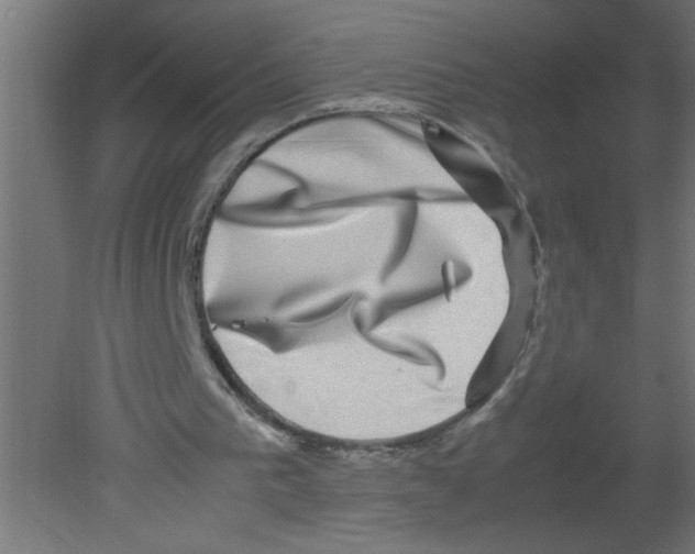 X0000080750193200701122012