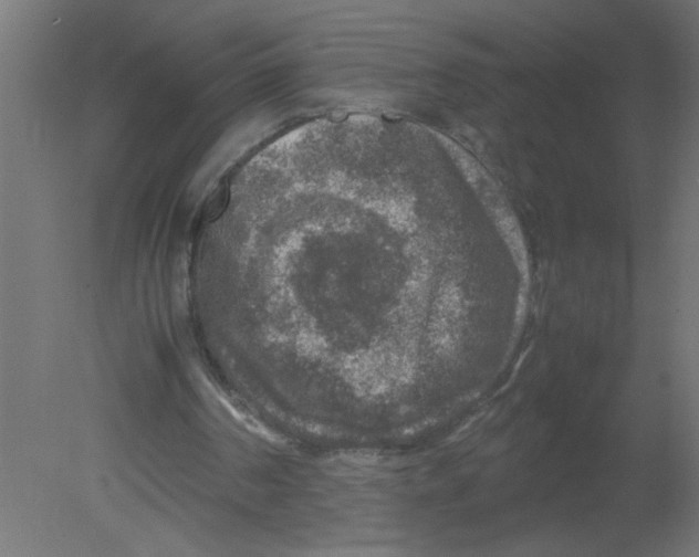 X0000080750194200701122012