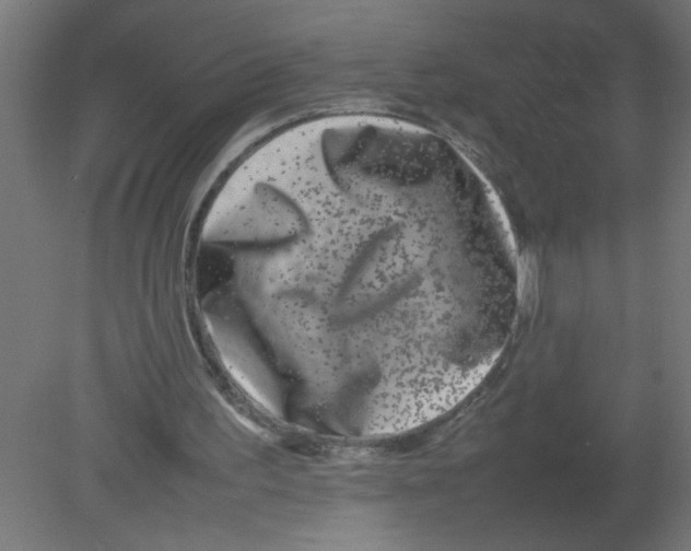 X0000080750195200701122012