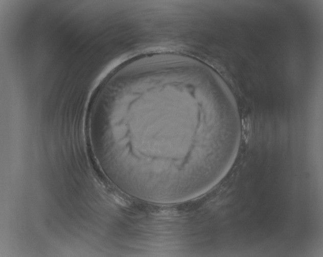 X0000080750196200701122012