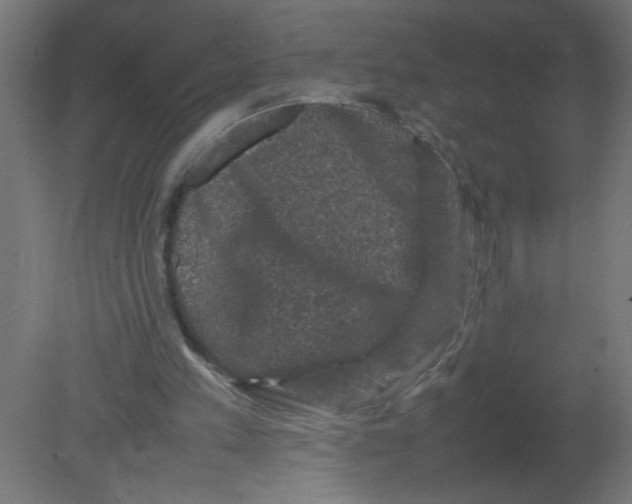 X0000080750197200701122012