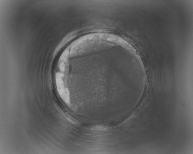 X0000080750198200701122012