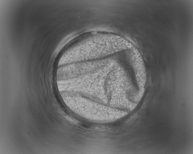 X0000080750199200701122012