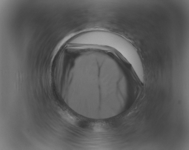 X0000080750200200701122012