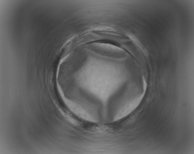 X0000080750201200701122012