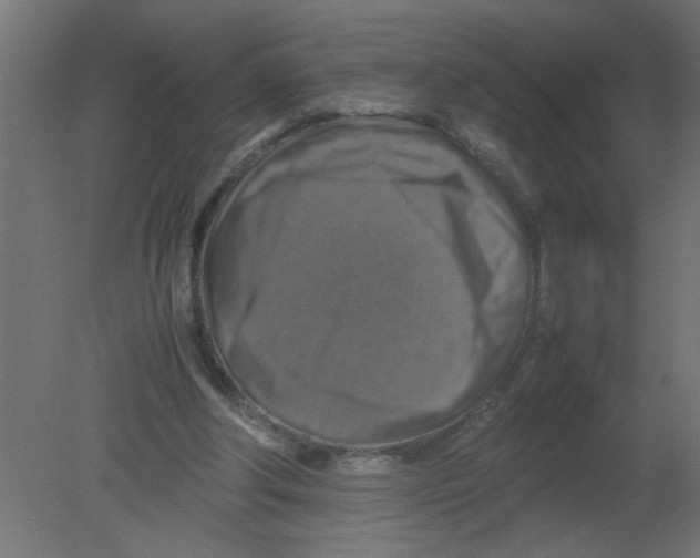 X0000080750202200701122012