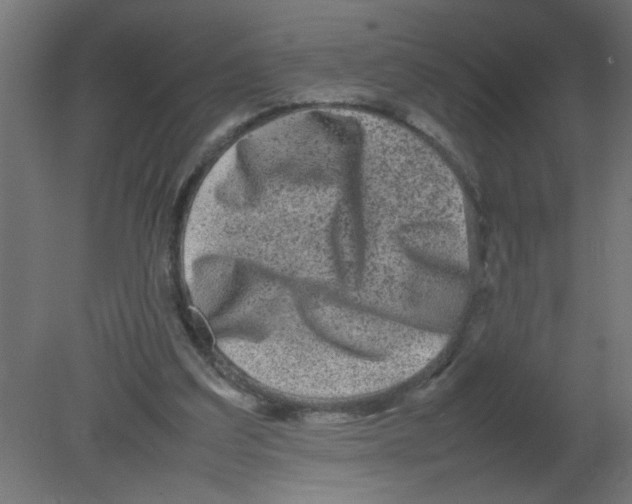 X0000080750203200701122012