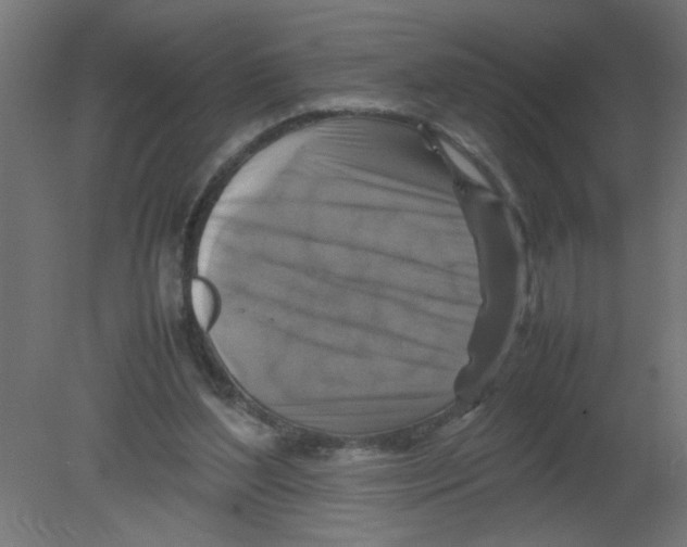 X0000080750204200701122012