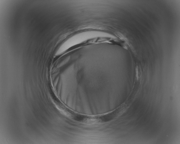 X0000080750205200701122012