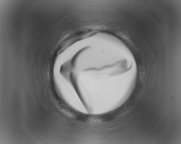 X0000080750207200701122012