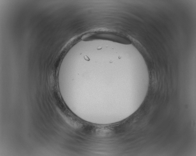 X0000080750208200701122012