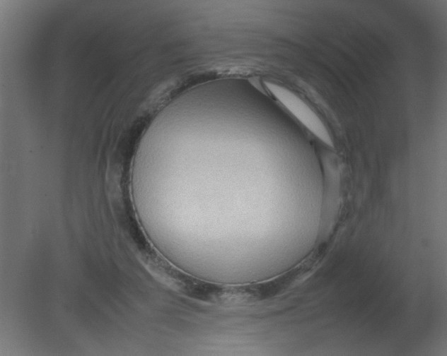 X0000080750209200701122012