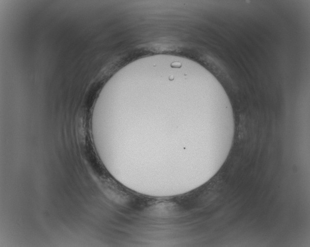 X0000080750210200701122012