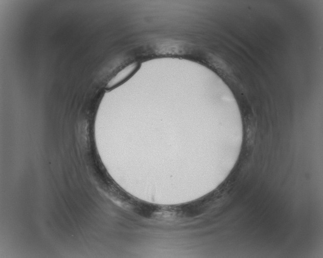 X0000080750211200701122012