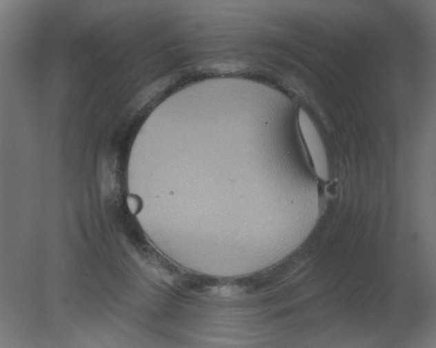 X0000080750212200701122012