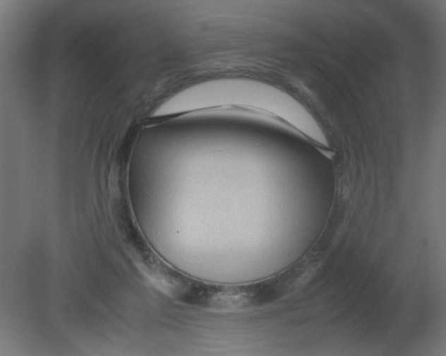 X0000080750213200701122012