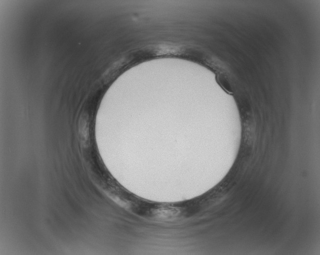 X0000080750215200701122011