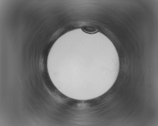 X0000080750216200701122011