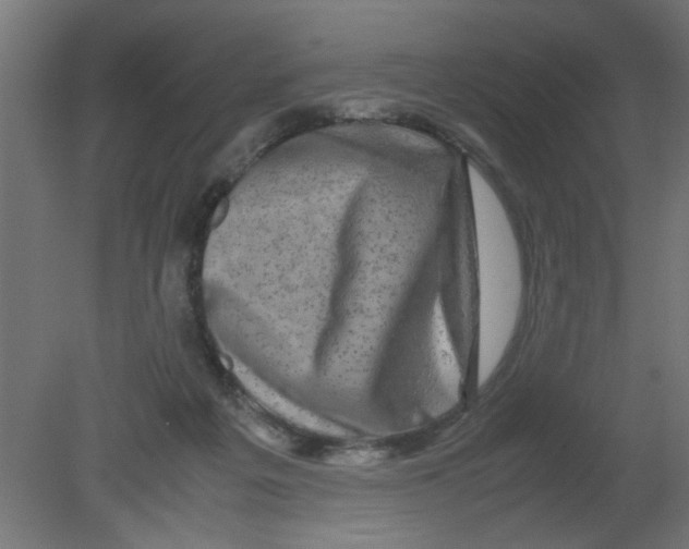 X0000080750217200701122011