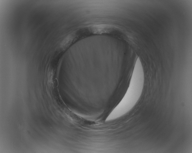 X0000080750219200701122011