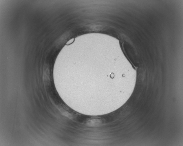 X0000080750220200701122011