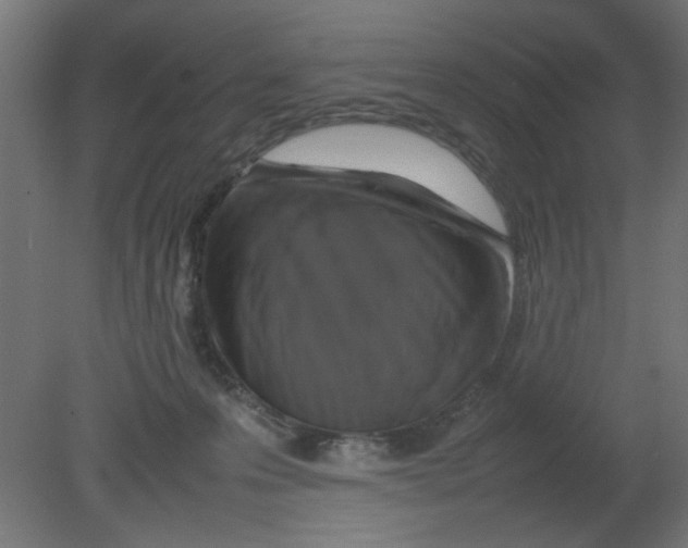 X0000080750223200701122011