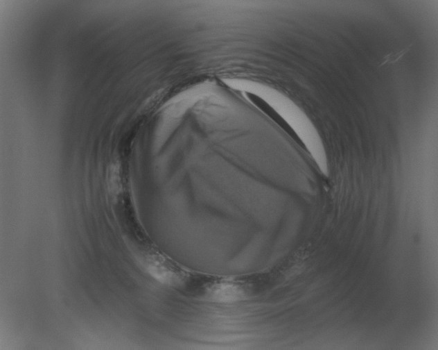 X0000080750224200701122011