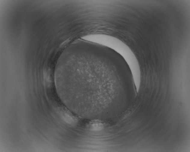 X0000080750228200701122011