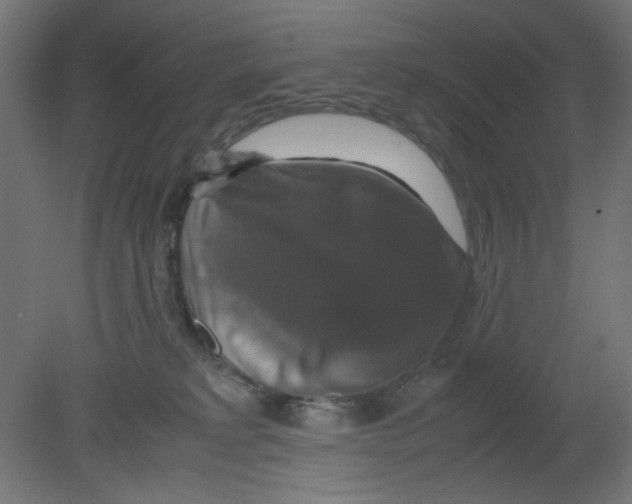 X0000080750229200701122011