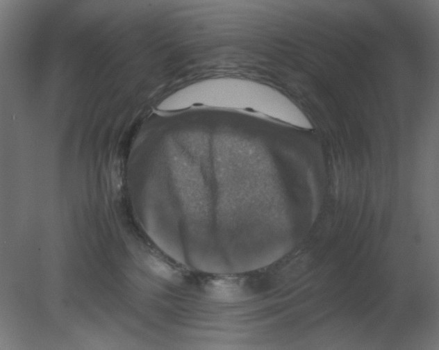 X0000080750232200701122011