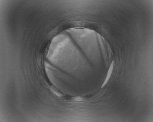 X0000080750233200701122011