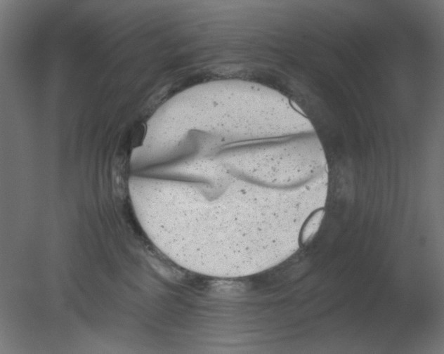 X0000080750234200701122011