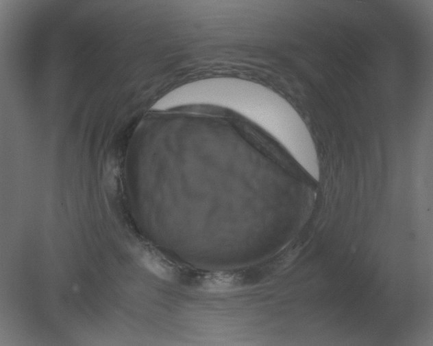 X0000080750235200701122011