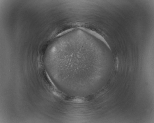 X0000080750236200701122011