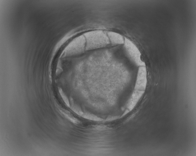 X0000080750246200701122010