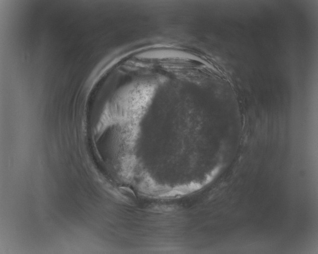 X0000080750247200701122010