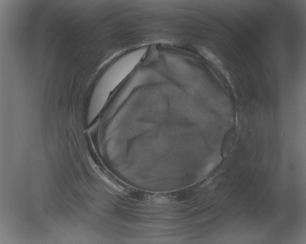 X0000080750249200701122010