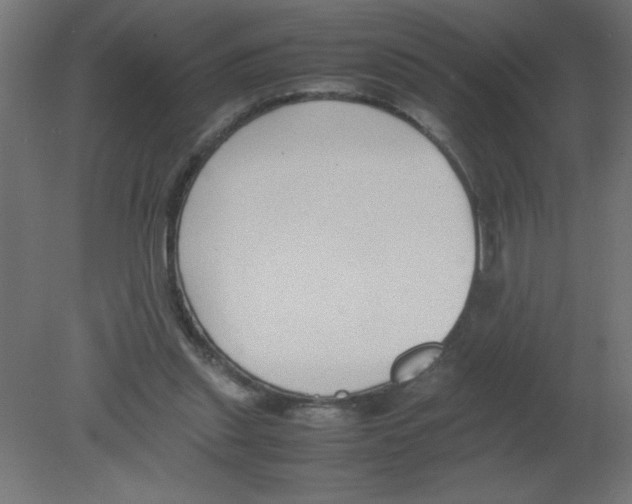 X0000080750253200701122010