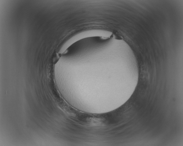 X0000080750255200701122010