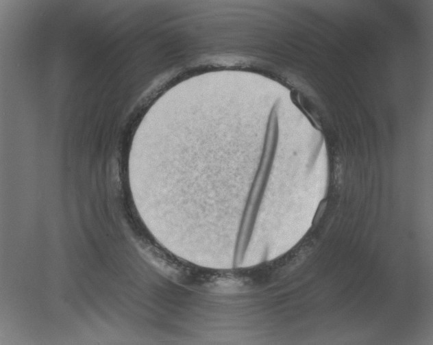 X0000080750256200701122010