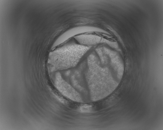 X0000080750257200701122011